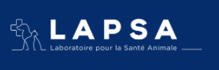 Lapsa